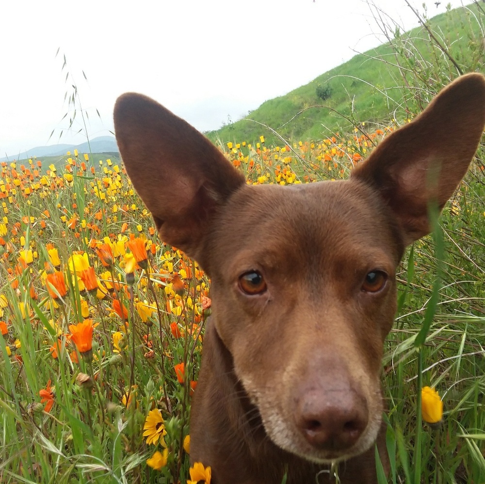 Meet your Posher, Malorie